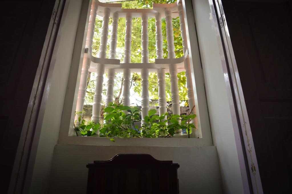 Casa De Santo Domingo Vidal Hostel Cartagena Luaran gambar